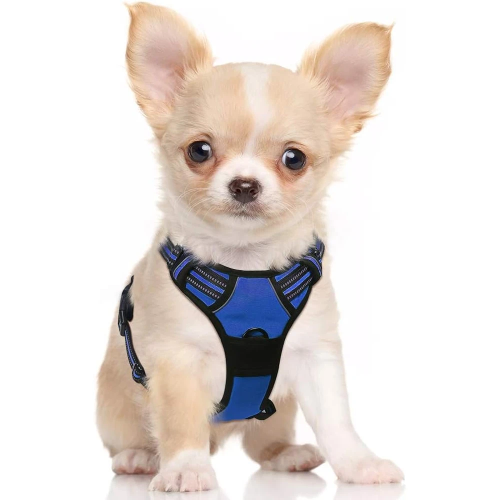 Rabbitgoo Arnés Para Perros sin Tirones Con 2 Clips De Correa acolchado suave ajustable con Manija ,Azul Deslumbrante, S