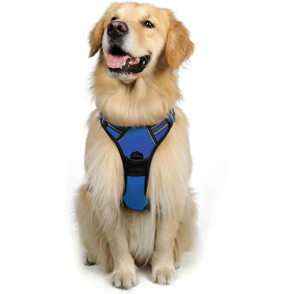 Rabbitgoo Arnés Para Perros sin Tirones Con 2 Clips De Correa acolchado suave ajustable con Manija, Azul Deslumbrante, L