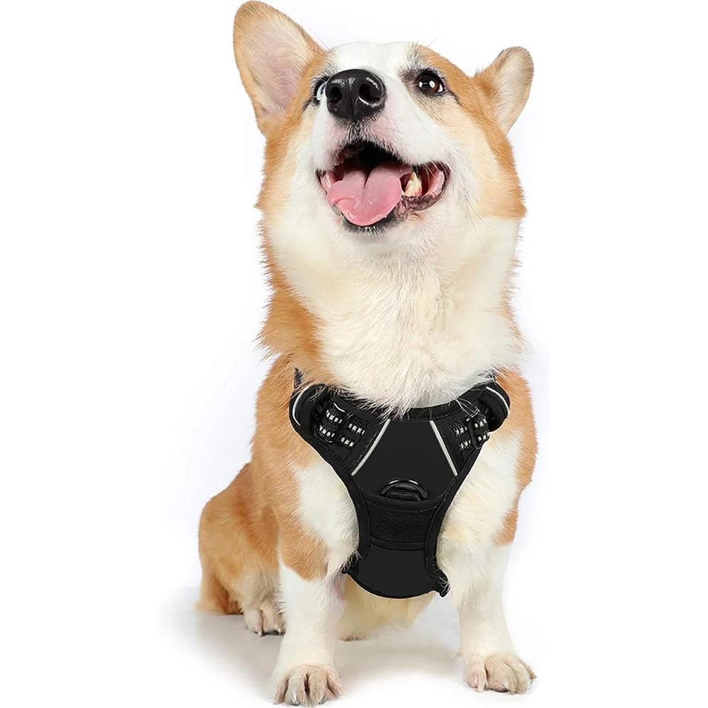 Rabbitgoo Arnés Para Perros sin Tirones Con 2 Clips De Correa acolchado suave ajustable con Manija Para Perros Medianos, Negro, M