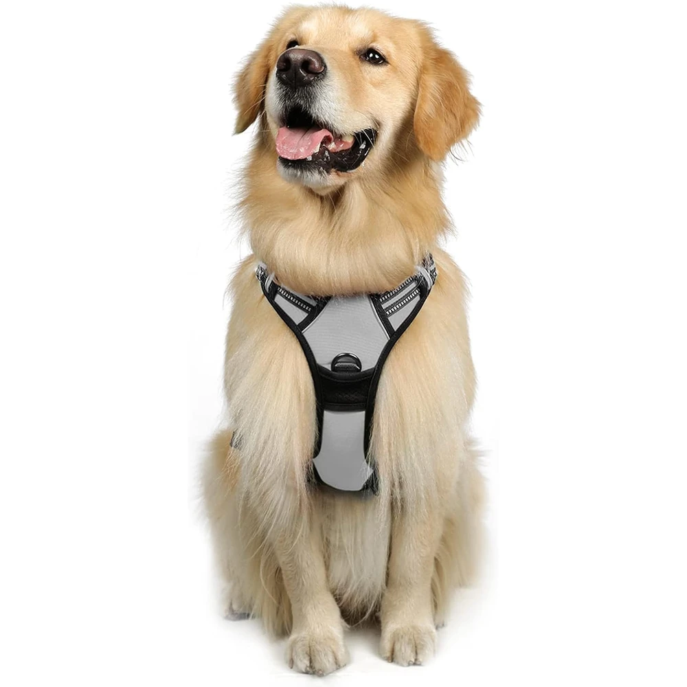 Rabbitgoo Arnés Para Perros sin Tirones Con 2 Clips De Correa acolchado suave ajustable con Manija Para Perros Grandes, Gris, L