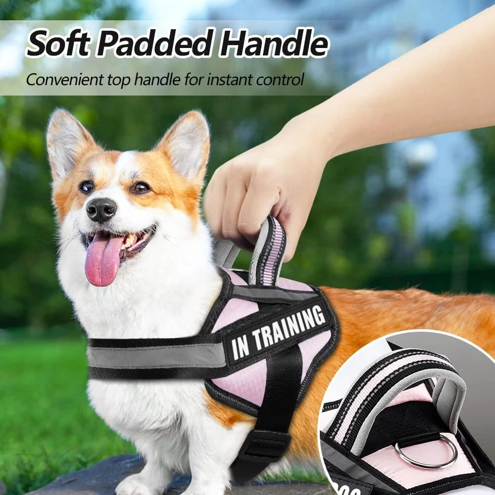 Juego De Arnés Y Parches Para Chaleco De Perro, Servicio De Entrenamiento Con 8 Parches Para Perro, Chaleco Reflectante