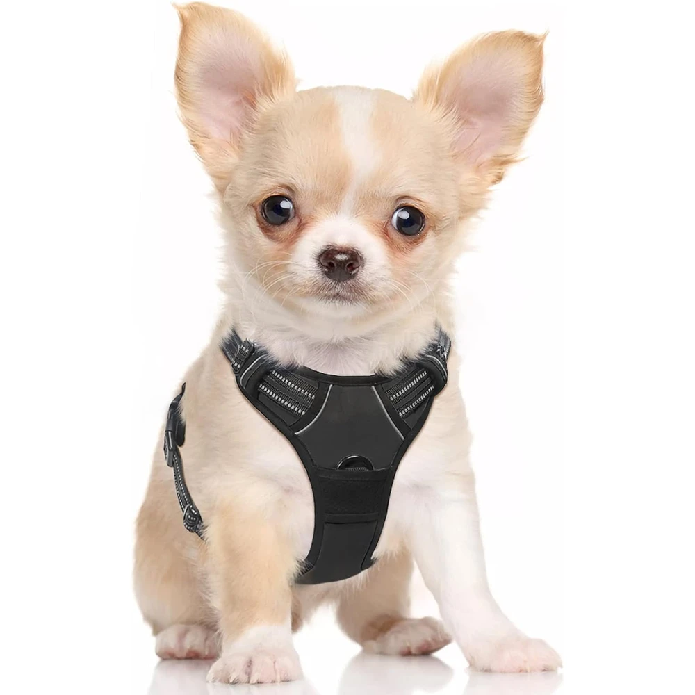 Rabbitgoo Arnés Para Perros sin Tirones Con 2 Clips De Correa acolchado suave ajustable con Manija Para Perros Pequeños, Negro, S