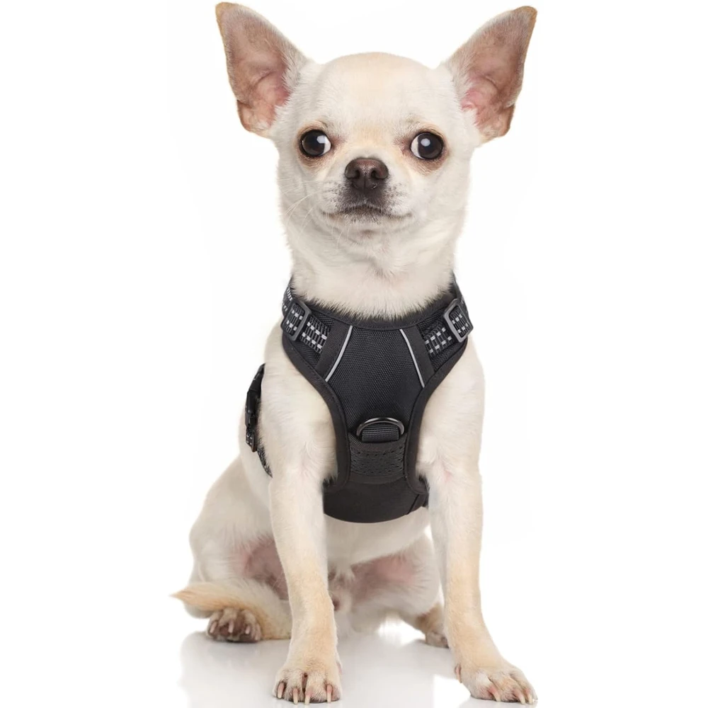 Rabbitgoo Arnés Para Perros sin Tirones Con 2 Clips De Correa acolchado suave ajustable con Manija Para Perros Pequeños,Negro, Xs