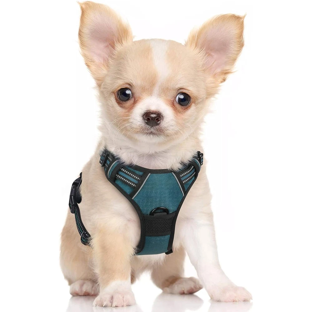 Rabbitgoo Arnés Para Perros sin Tirones Con 2 Clips De Correa acolchado suave ajustable con Manija Para Pequeños, Coral Azul, S