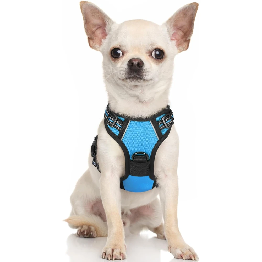 Rabbitgoo Arnés Para Perros sin Tirones Con 2 Clips De Correa acolchado suave ajustable con Manija Para Perros Pequeños, Azul, Xs