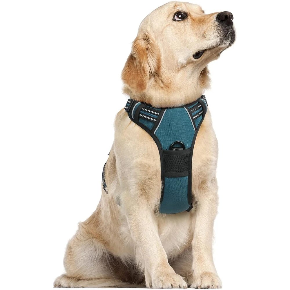 Rabbitgoo Arnés Para Perros sin Tirones Con 2 Clips De Correa acolchado suave ajustable con Manija Para Grandes, Coral Azul, L