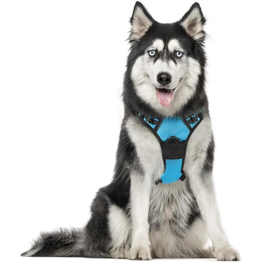 Rabbitgoo Arnés Para Perros sin Tirones Con 2 Clips De Correa acolchado suave ajustable con Manija Para Perros Grandes, Azul, Xl