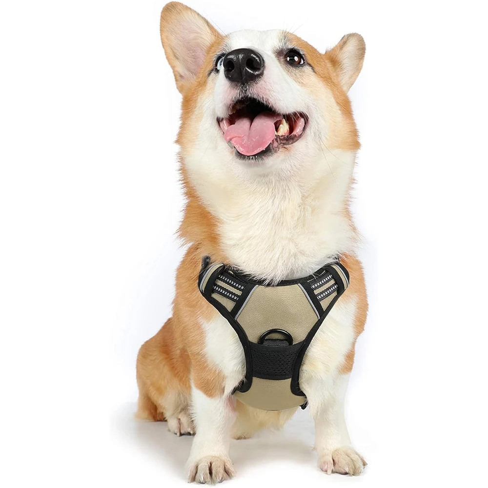 Rabbitgoo Arnés Para Perros sin Tirones Con 2 Clips De Correa acolchado suave ajustable con Manija Para Perros Medianos, Beige, M