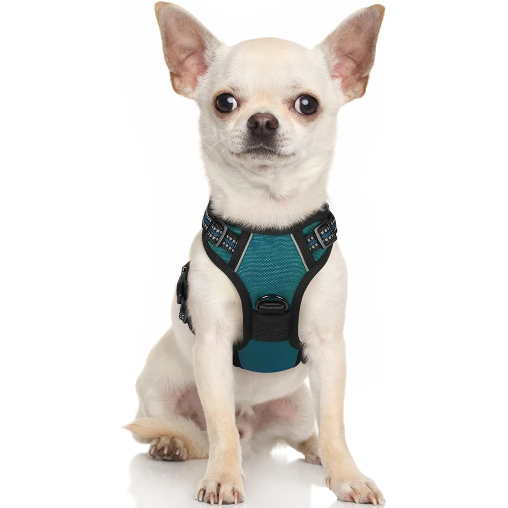 Rabbitgoo Arnés Para Perros sin Tirones Con 2 Clips De Correa acolchado suave ajustable con Manija Para Pequeños,Coral Azul, Xs