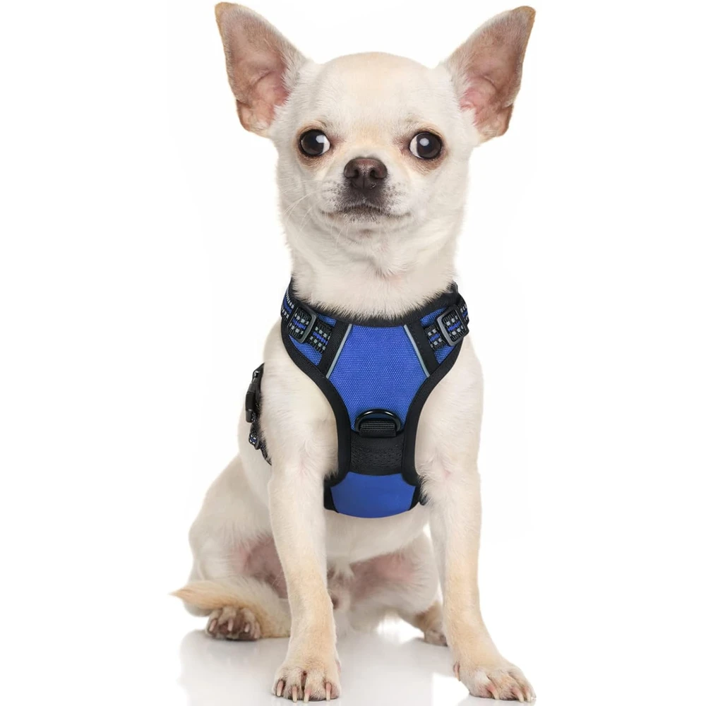 Rabbitgoo Arnés Para Perros sin Tirones Con 2 Clips De Correa acolchado suave ajustable con Manija Para Perros Pequeños, Azul, Xs