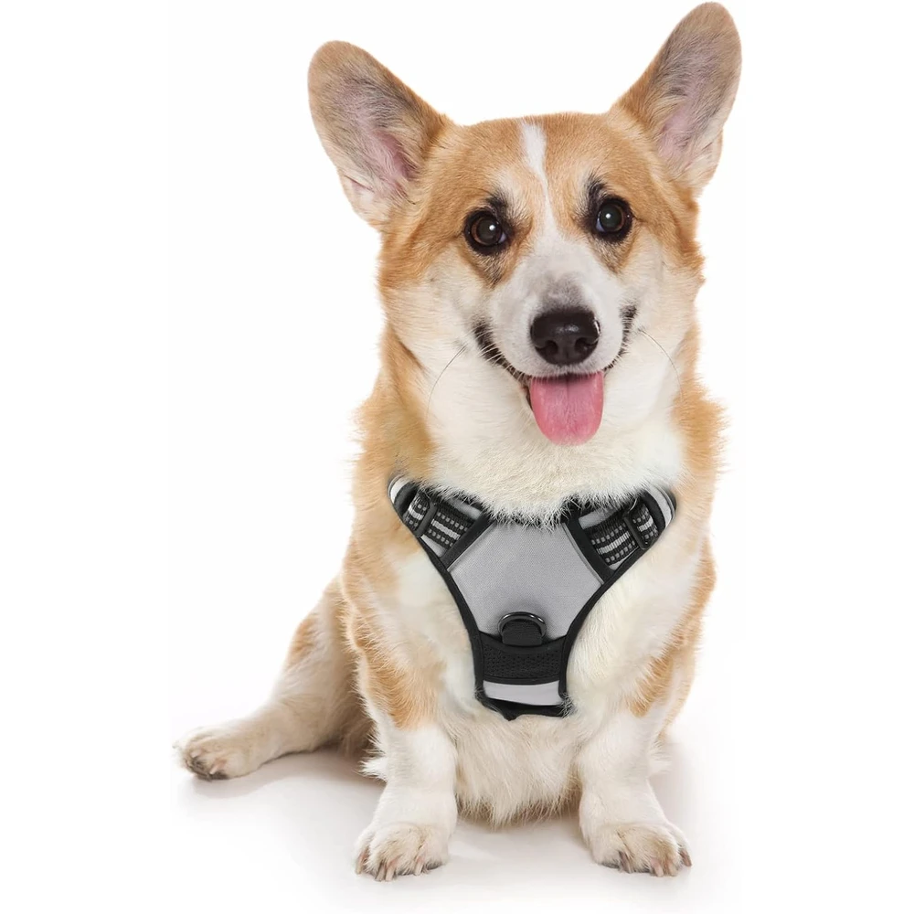 Rabbitgoo Arnés Para Perros sin Tirones Con 2 Clips De Correa acolchado suave ajustable con Manija Para Perros Medianos, Gris, M