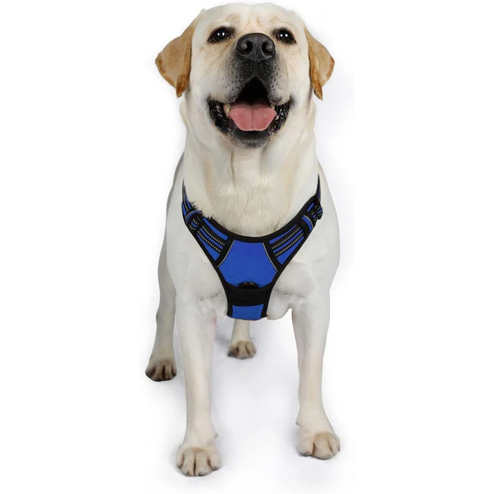 Rabbitgoo Arnés Para Perros sin Tirones Con 2 Clips De Correa acolchado suave ajustable con Manija, Azul Marino, Xl