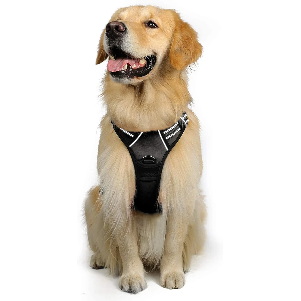 Rabbitgoo Arnés Para Perros sin Tirones Con 2 Clips De Correa acolchado suave ajustable con Manija Para Perros Grandes, Negro, Xl