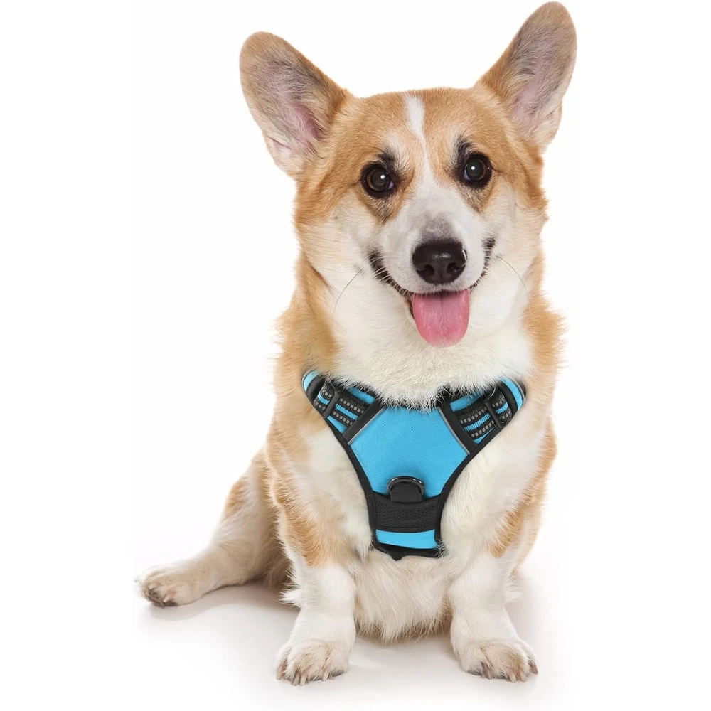 Rabbitgoo Arnés Para Perros sin Tirones Con 2 Clips De Correa acolchado suave ajustable con Manija Para Perros Medianos, Azul, M