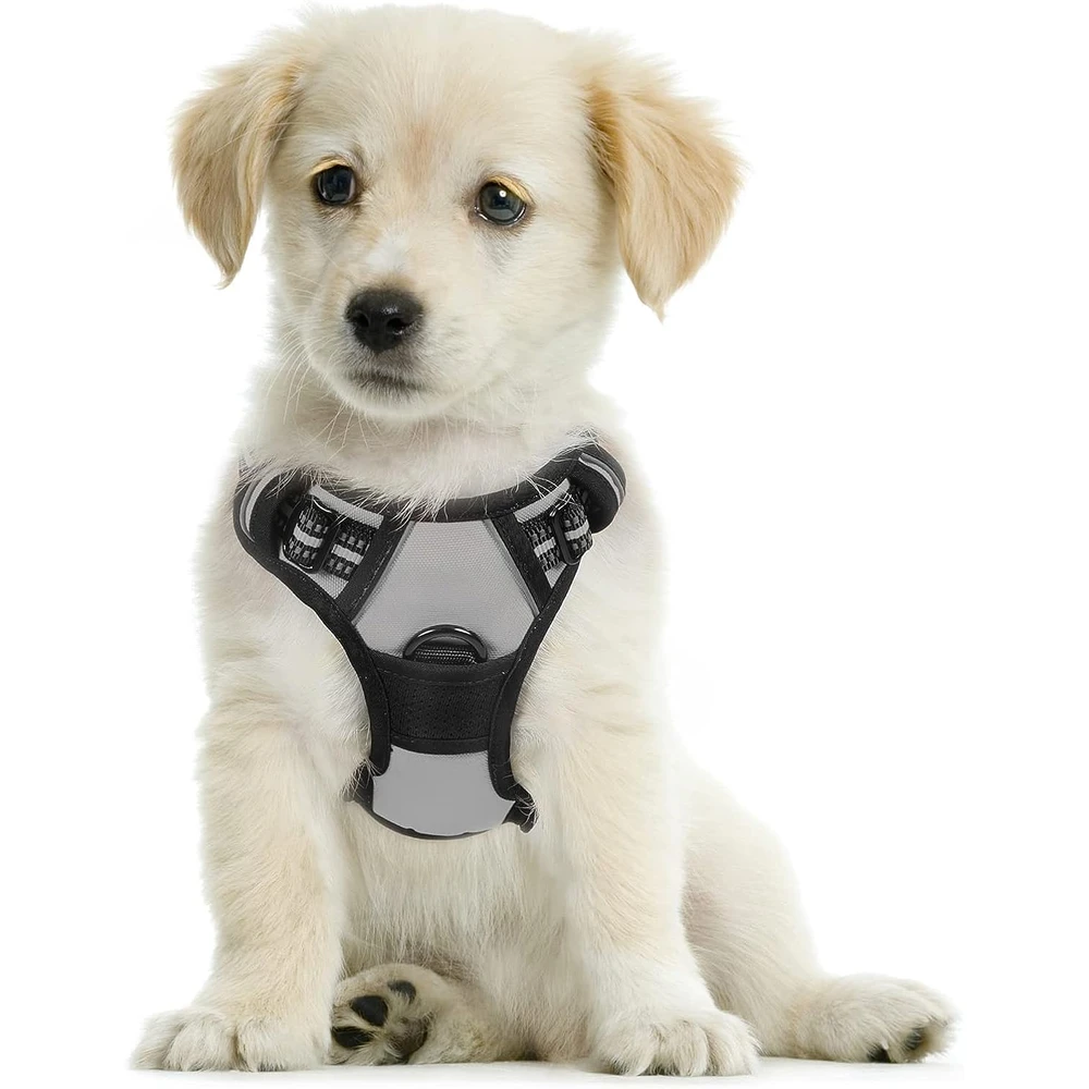 Rabbitgoo Arnés Para Perros sin Tirones Con 2 Clips De Correa acolchado suave ajustable con Manija Para Perros Pequeños, Gris, S