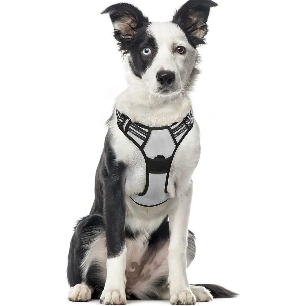 Rabbitgoo Arnés Para Perros sin Tirones Con 2 Clips De Correa acolchado suave ajustable con Manija Para Perros Grandes, Gris, Xl