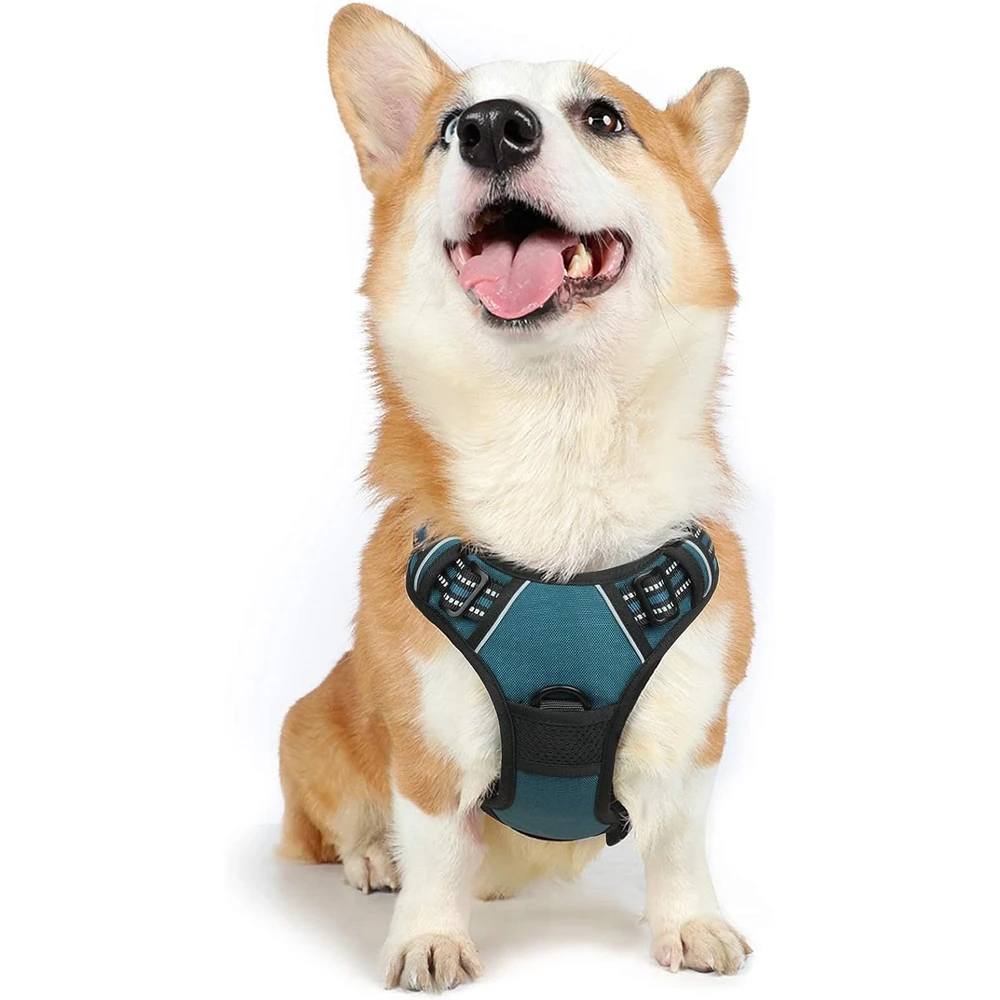 Rabbitgoo Arnés Para Perros sin Tirones Con 2 Clips De Correa acolchado suave ajustable con Manija Para Medianos, Coral Azul, M