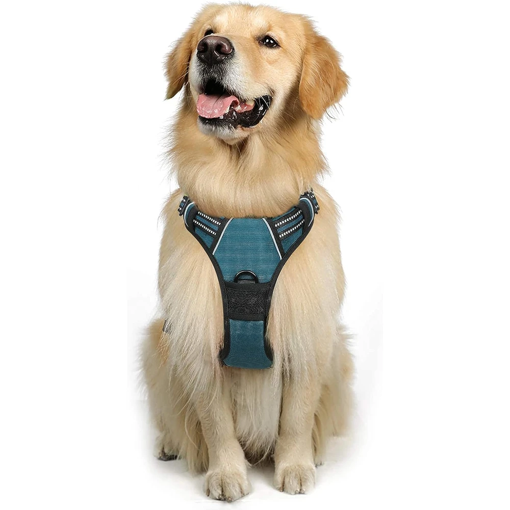 Rabbitgoo Arnés Para Perros sin Tirones Con 2 Clips De Correa acolchado suave ajustable con Manija, Coral Azul, Xl