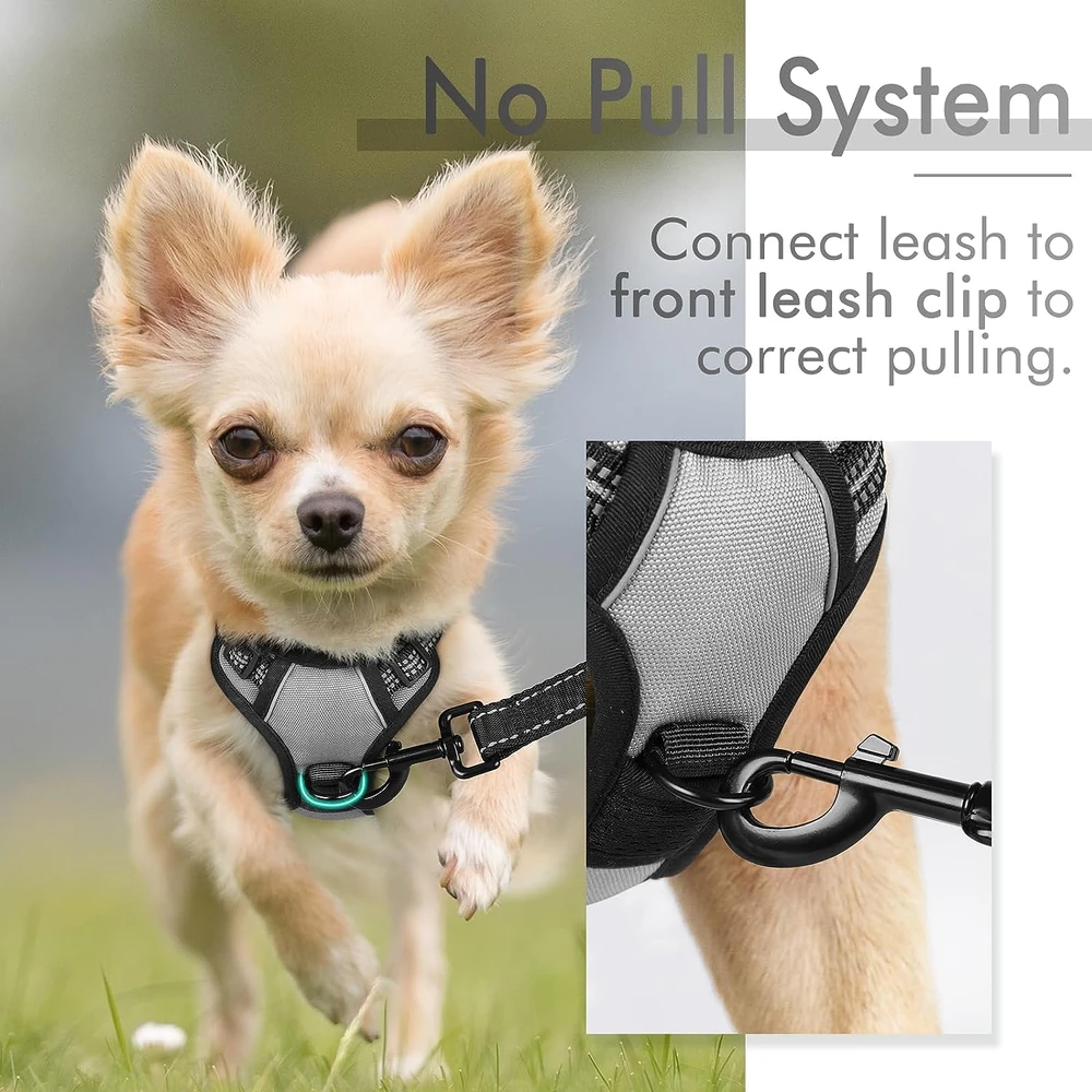 Rabbitgoo Arnés Para Perros sin Tirones Con 2 Clips De Correa acolchado suave ajustable con Manija Para Perros Pequeños, Gris, Xs