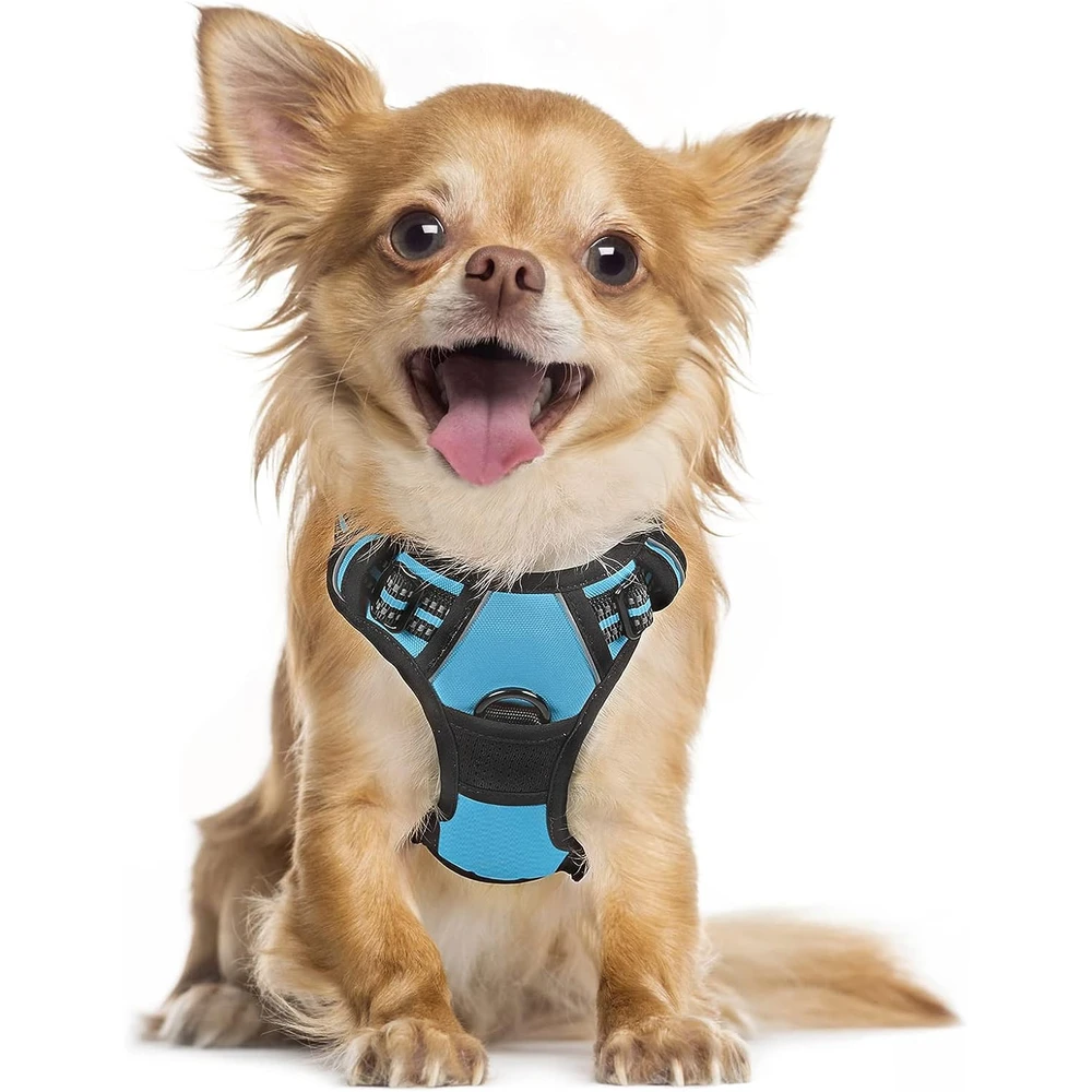 Rabbitgoo Arnés Para Perros sin Tirones Con 2 Clips De Correa acolchado suave ajustable con Manija Para Perros Pequeños, Azul, S