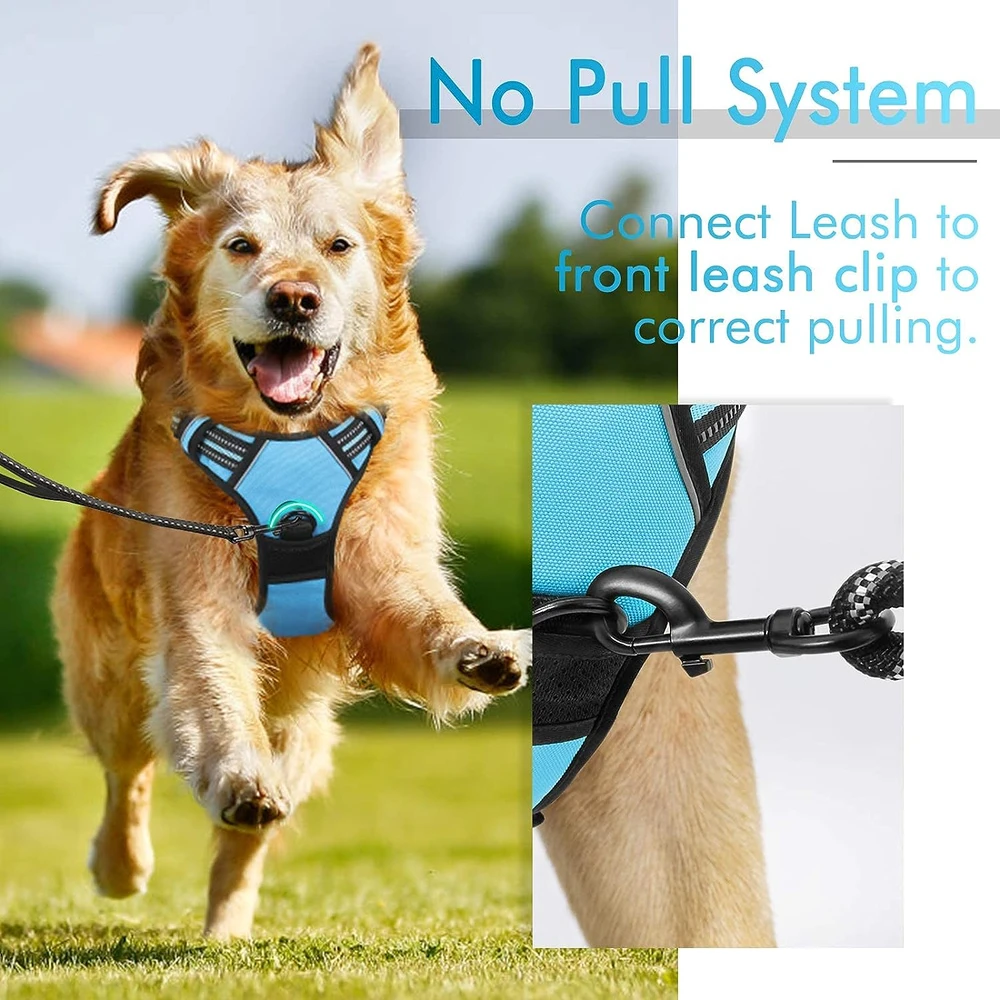 Rabbitgoo Arnés Para Perros sin Tirones Con 2 Clips De Correa acolchado suave ajustable con Manija Para Perros Grandes, Azul, L