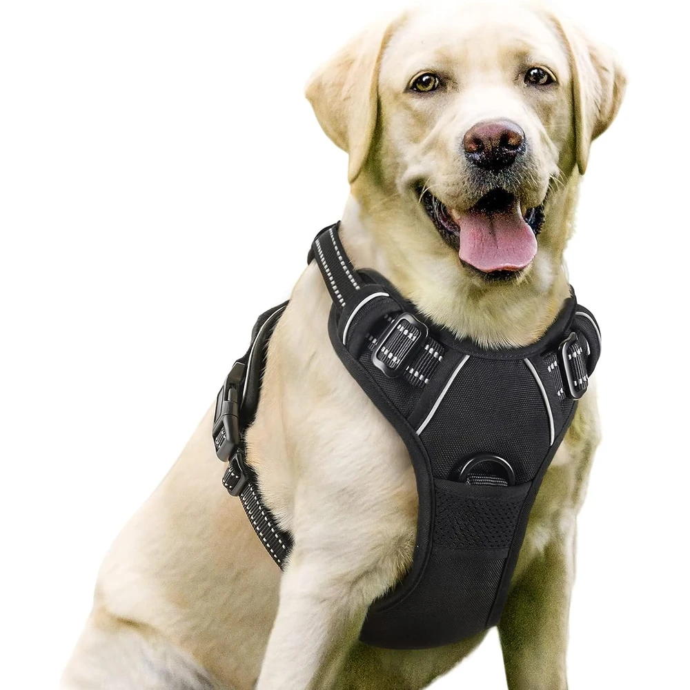 Rabbitgoo Arnés Para Perros sin Tirones Con 2 Clips De Correa acolchado suave ajustable con Manija Para Perros Grandes, Negro, L