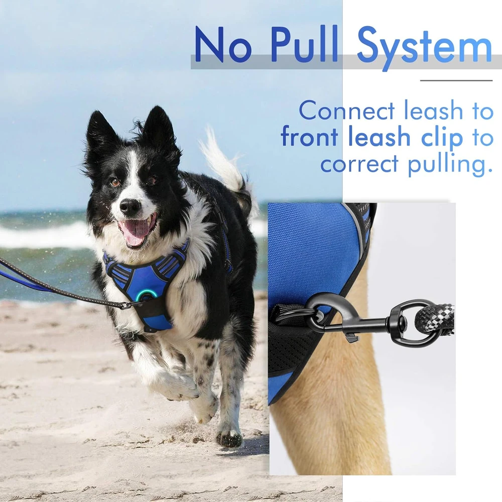 Rabbitgoo Arnés Para Perros sin Tirones Con 2 Clips De Correa acolchado suave ajustable con Manija, Azul Deslumbrante, L