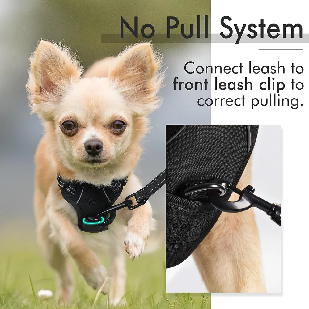 71cZ1i80JL_AC_SL1500_.webp Rabbitgoo Arnés Para Perros sin Tirones Con 2 Clips De Correa acolchado suave ajustable con Manija Para Perros Pequeños,Negro, Xs