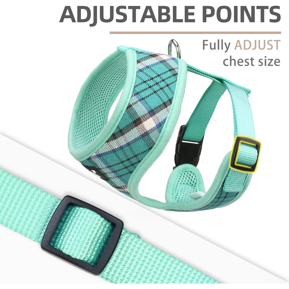 Pupteck juego de arnés y correa de malla suave para mascota Chaleco Acolchado Cómodo Arneses Sin Tirones, Verde, L