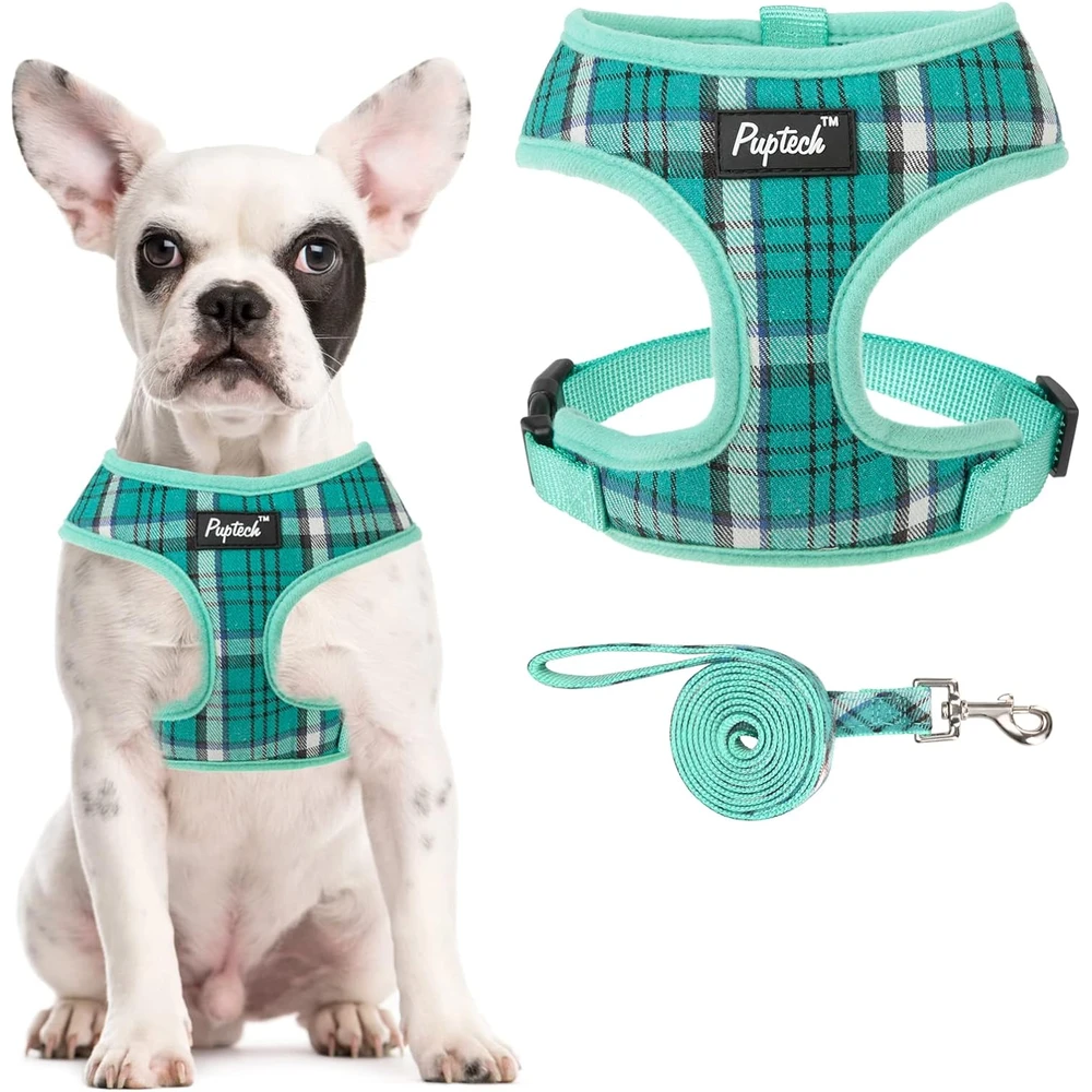 Pupteck juego de arnés y correa de malla suave para mascota Chaleco Acolchado Cómodo Arneses Sin Tirones, Verde, L