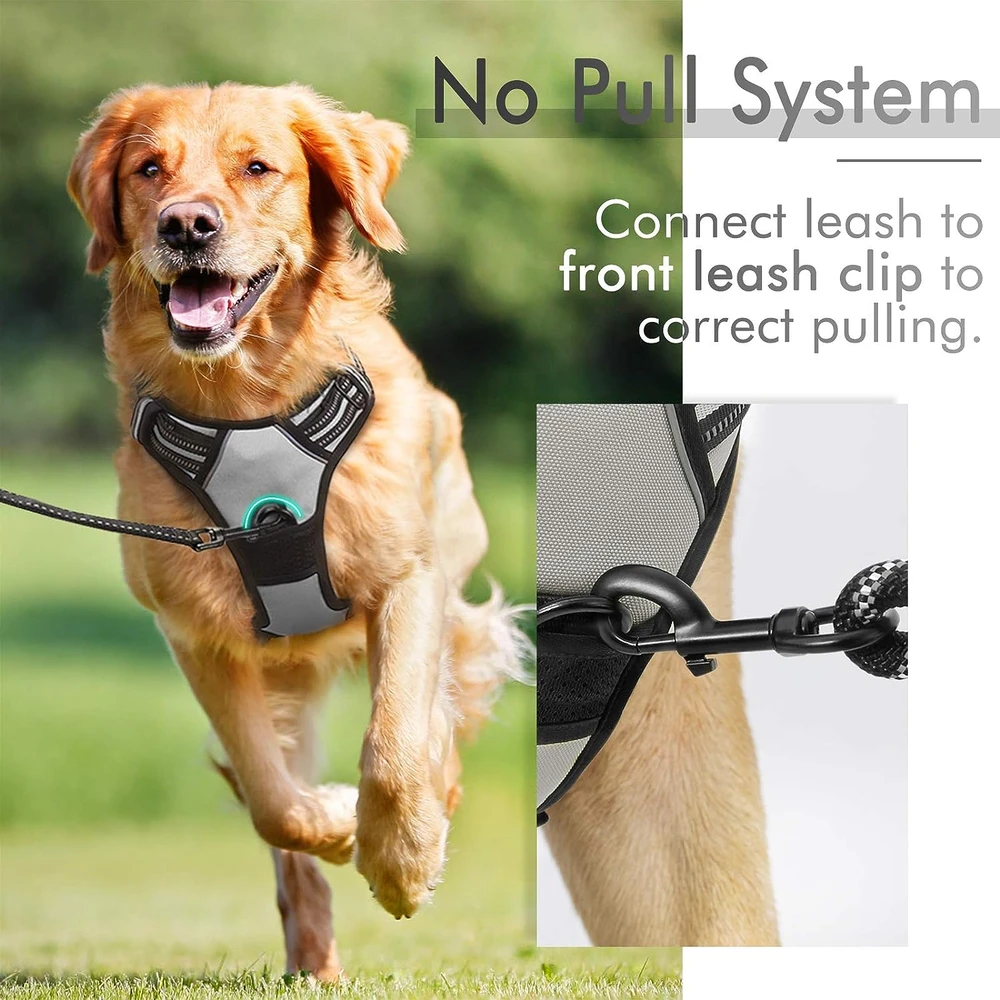 Rabbitgoo Arnés Para Perros sin Tirones Con 2 Clips De Correa acolchado suave ajustable con Manija Para Perros Grandes, Gris, Xl