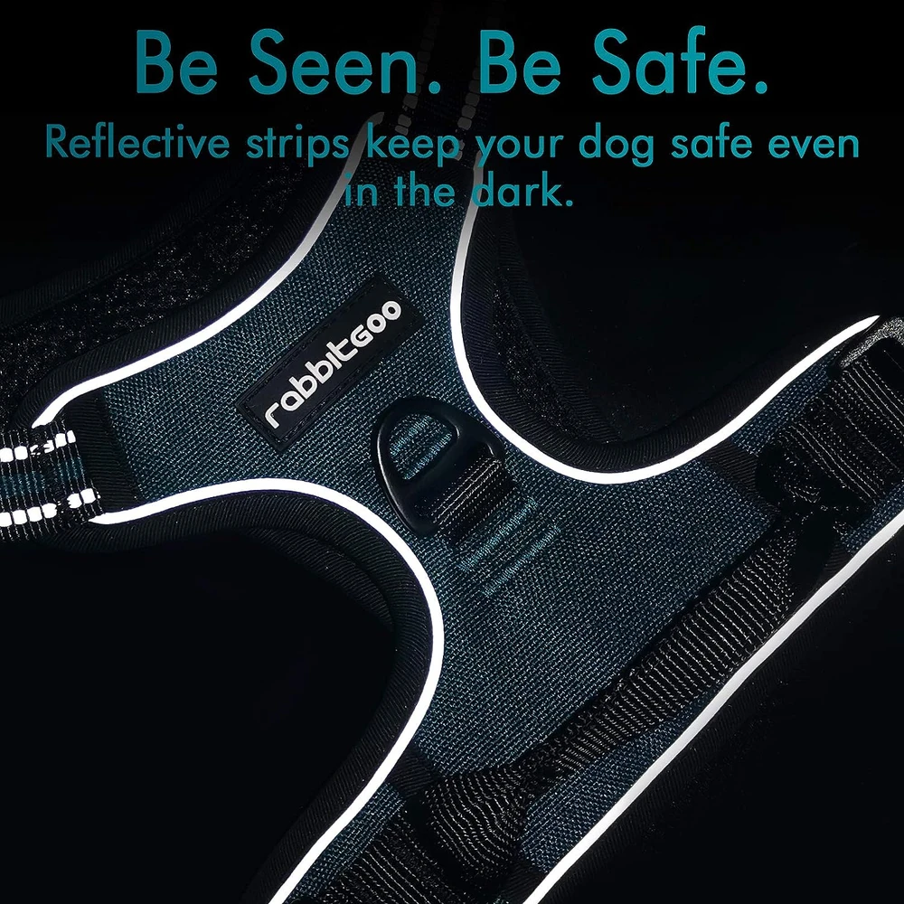 Rabbitgoo Arnés Para Perros sin Tirones Con 2 Clips De Correa acolchado suave ajustable con Manija Para Medianos, Coral Azul, M