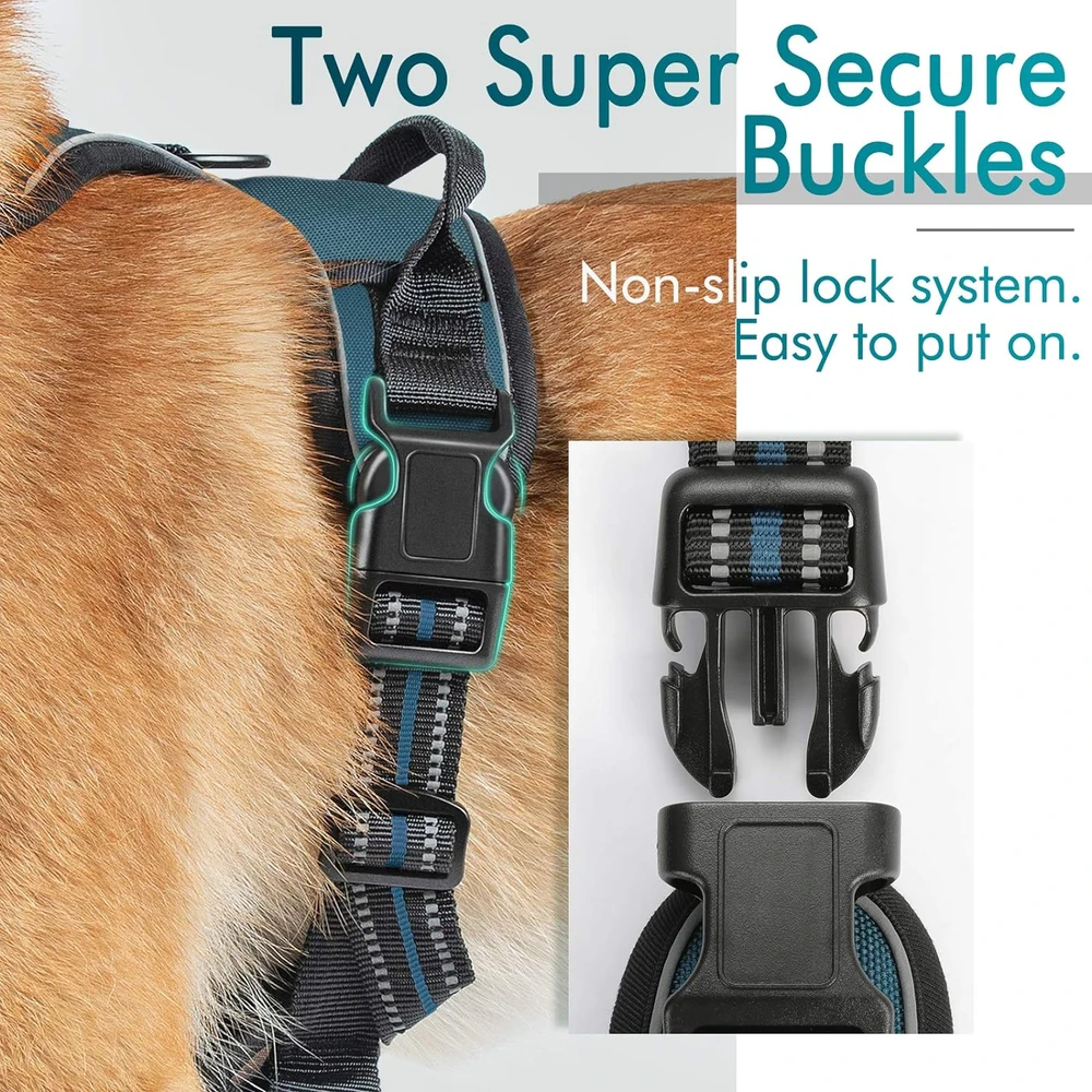 Rabbitgoo Arnés Para Perros sin Tirones Con 2 Clips De Correa acolchado suave ajustable con Manija Para Grandes, Coral Azul, L