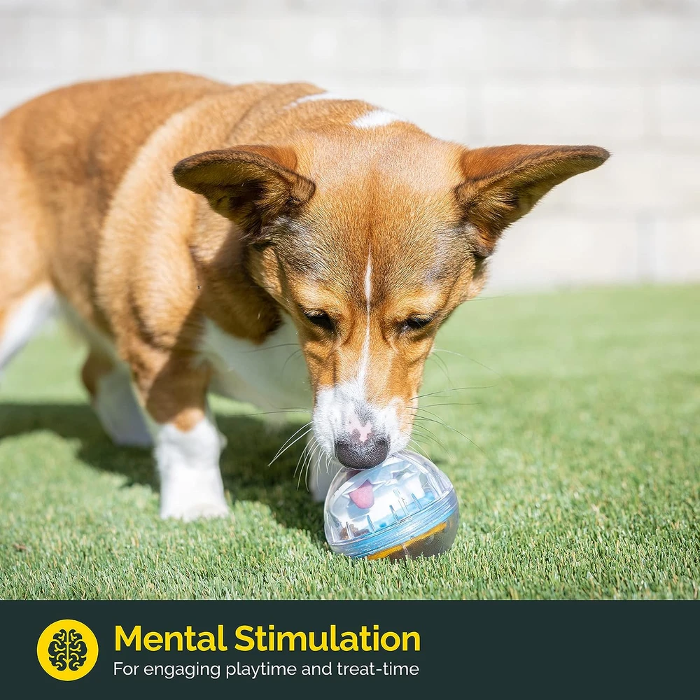 Pet Zone Iq Treat Ball Dispensador De Golosinas Para Perros Juguete Interactivo - 3" - Bola Difícil Ajustable Para Golosinas