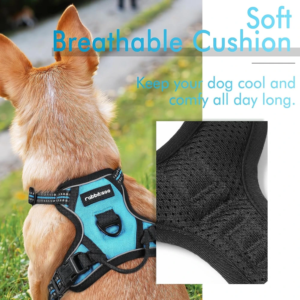 81XQe5BqclL_AC_SL1500_.webp Rabbitgoo Arnés Para Perros sin Tirones Con 2 Clips De Correa acolchado suave ajustable con Manija Para Perros Pequeños, Azul, Xs