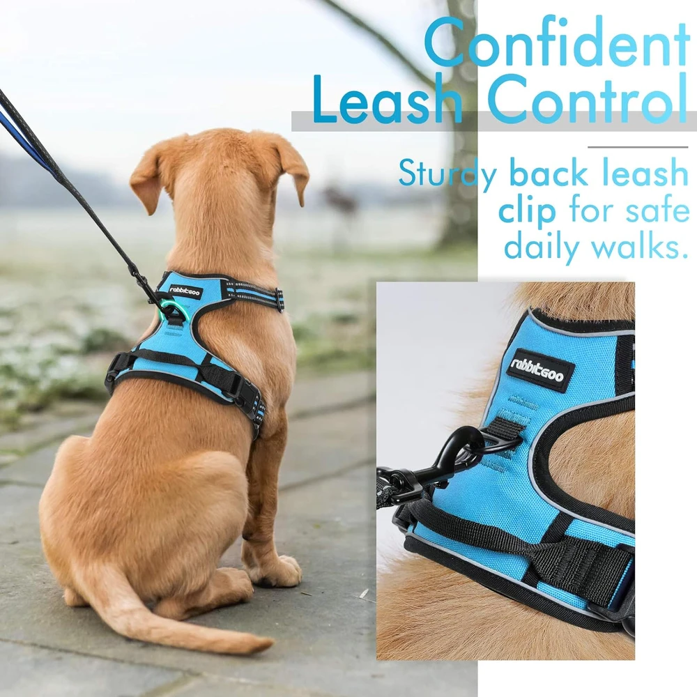 Rabbitgoo Arnés Para Perros sin Tirones Con 2 Clips De Correa acolchado suave ajustable con Manija Para Perros Medianos, Azul, M