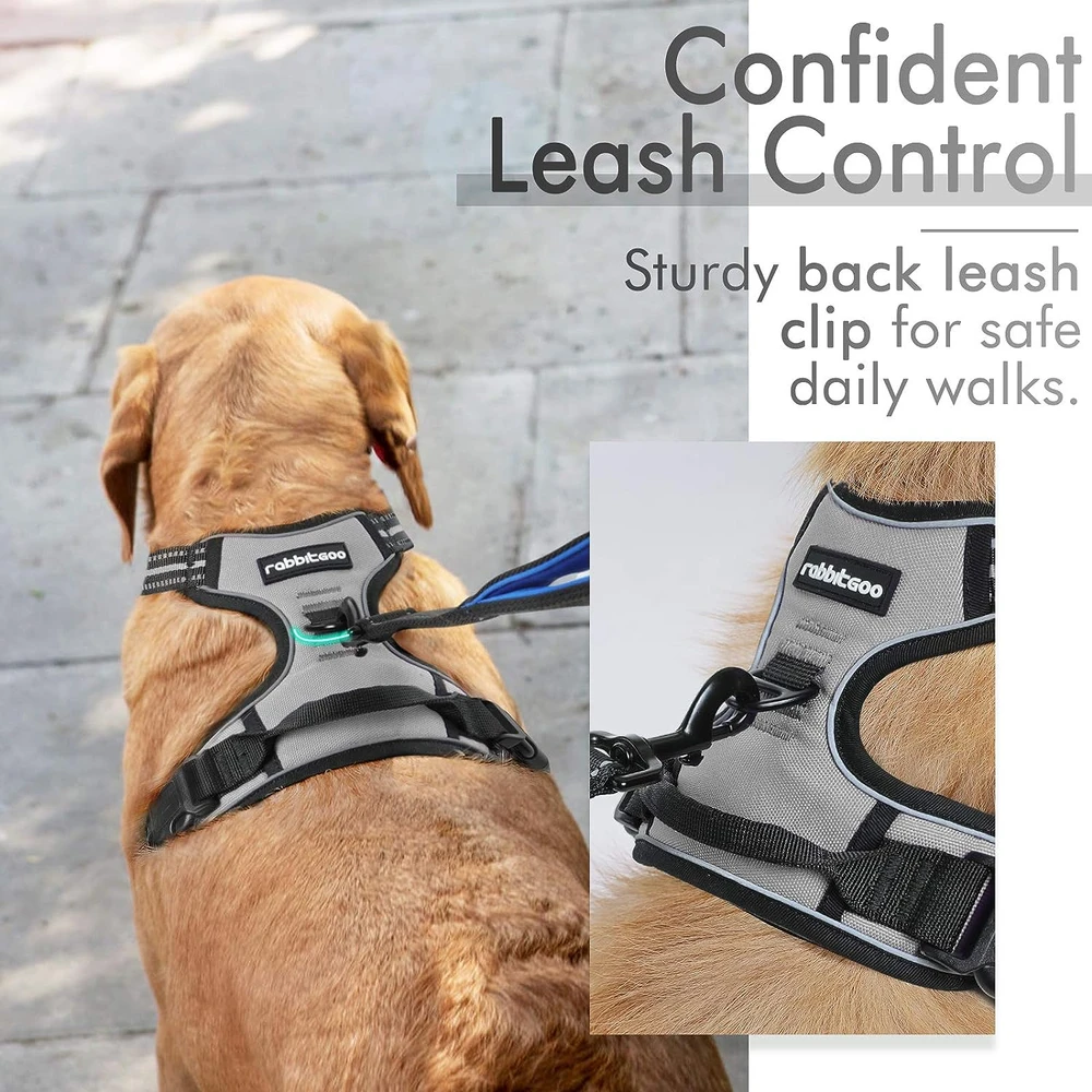 Rabbitgoo Arnés Para Perros sin Tirones Con 2 Clips De Correa acolchado suave ajustable con Manija Para Perros Medianos, Gris, M