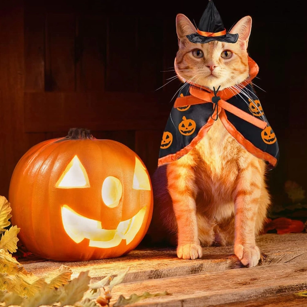 Capa de Cosplay de Bruja para Gatos y Cachorros - Talla Unica