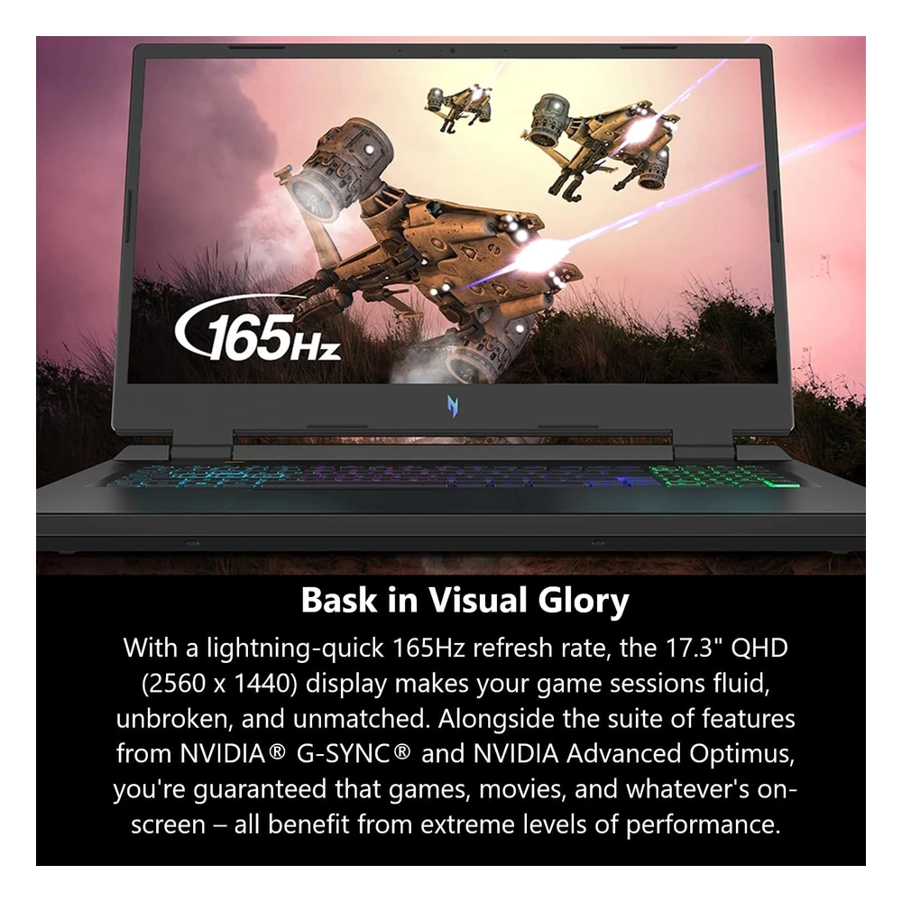 Laptop ACER Nitro 17 Cpu Amd Ryzen 7 7840hs Octa-Core Gpu Nvidia Geforce RTX 4060IPS QHD 165hz 17.3" SSD 1Tb An17-41-R7g3 Negro