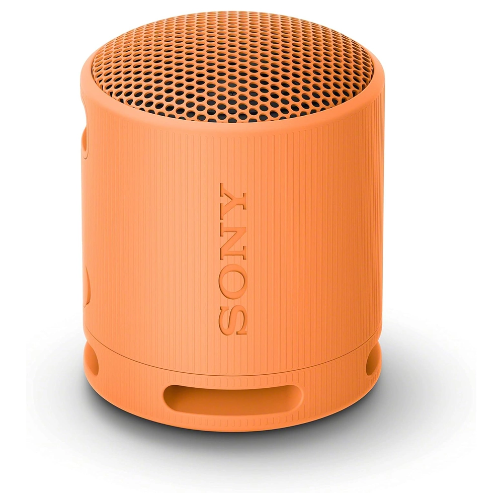ALTAVOZ SRS-XB100 DE VIAJE INALÁMBRICO BLUETOOTH IP67 SONY | NEGRO