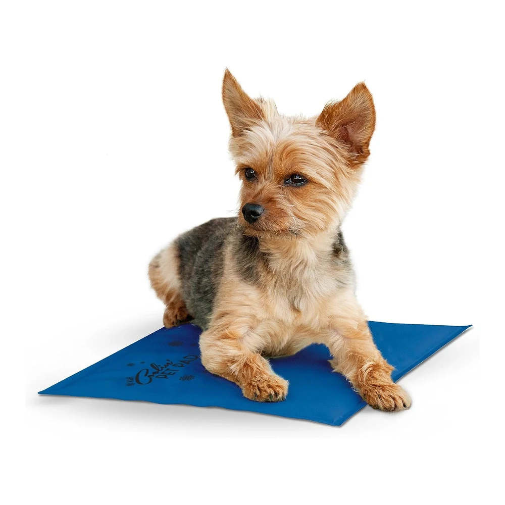 K&H Pet Products Coolin' - Tapete de Enfriamiento para Mascotas - Cama de Perro Al Aire Libre - Almohadilla de Refrigeración para Viajes de Perros - Alfombrilla de Enfriamiento para Mascotas - Alfombrilla de Enfriamiento para Perros Portadores de Perros - Camas Refrescantes para Perros Pequeños - Tamaño Pequeño de 11 X 15" - Azul