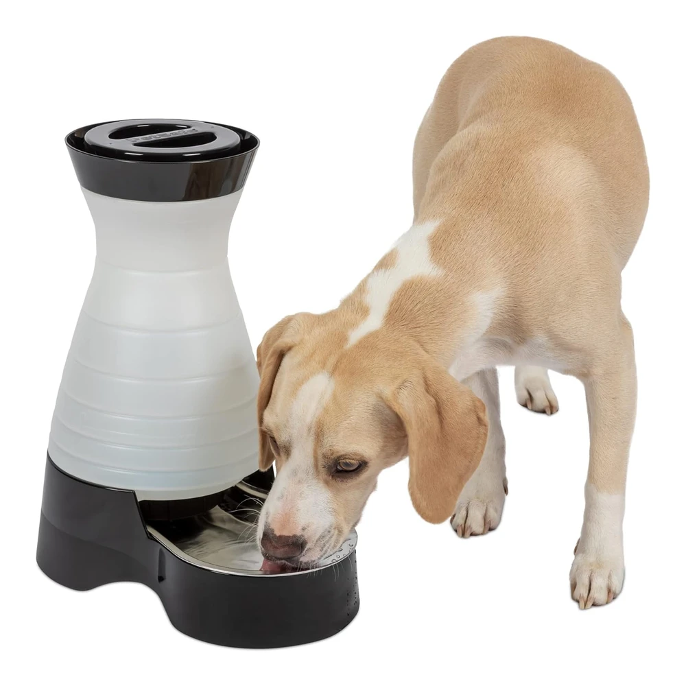 Petsafe Healthy Pet Estación de Agua para Perro y Gato - Sistema de Agua con Tazón de Acero Inoxidable - Blanco / Negro