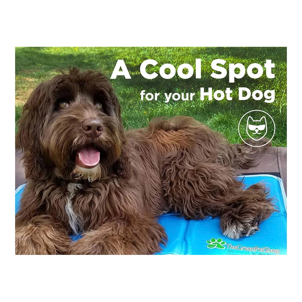 b0047wccbw_3.webp The Green Pet Shop Almohadilla de Enfriamiento para Mascotas - Esta Colchoneta Ayuda a Prevenir Sobrecalentamiento y Deshidratación - Enfría y Calma a Su Perro - Activado Por Presión, Fórmula Gel No Tóxica. - M - Azul