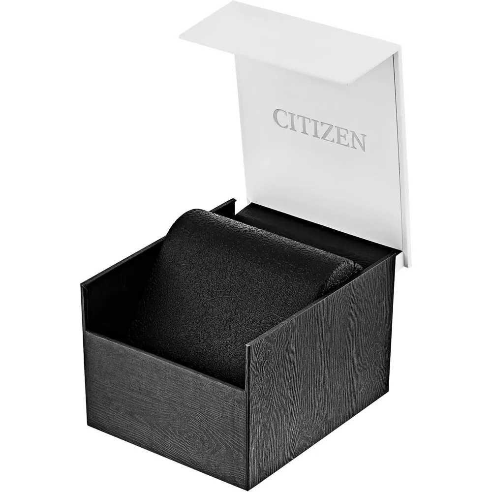 Citizen BF2005-54L reloj clásico de cuarzo para hombre en acero bicolor | Plateado