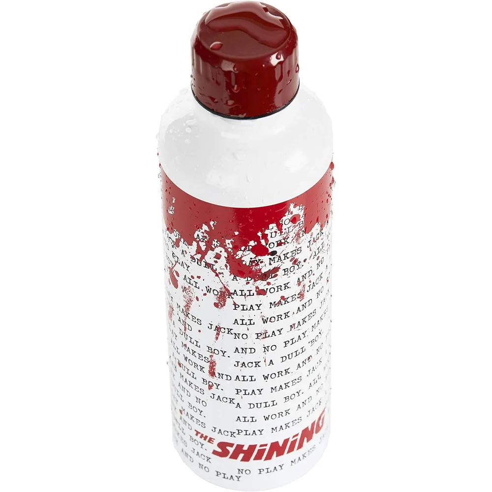 Paladone, botella acero inoxidable brillante 500 ml