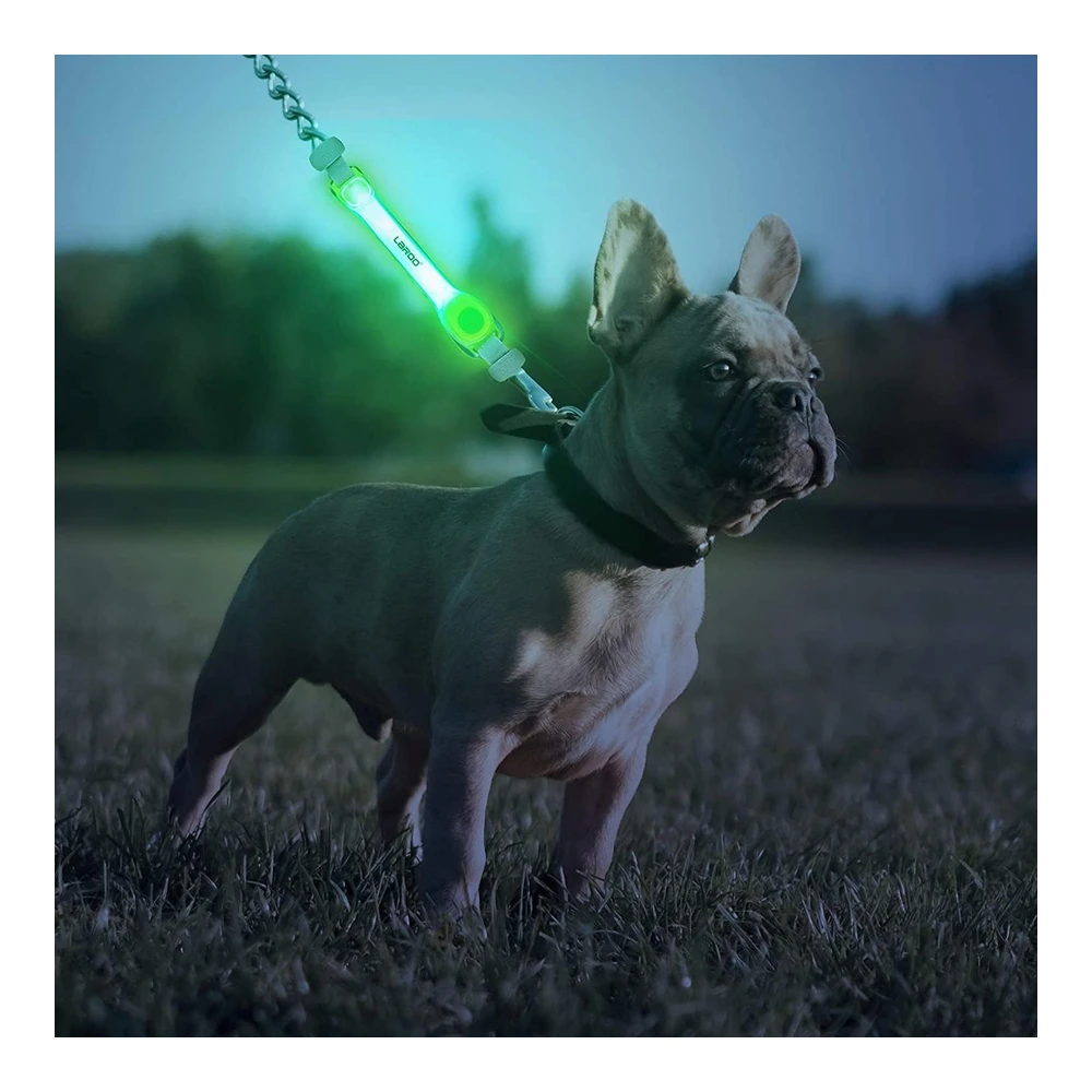 Laroo Collar de Perro Iluminado con Calcomanías de Nailon - Accesorios Universales para Arnés de Correa - Collar de Silicona Impermeable para Perro Led Intermitente - Seguridad Nocturna Al Aire Libre - Silicona Nailon - No Es Una Piedra Preciosa