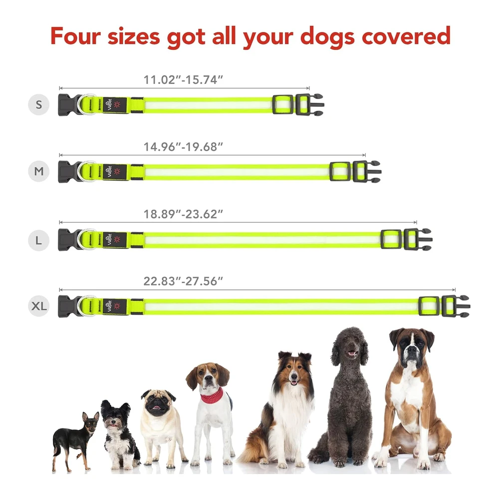 Vizpet Collar para Perro con Luz Led - Ajustable - Recargable Por USB - Superbrillante - Luz de Seguridad Brillante para Perros (M - Verde)