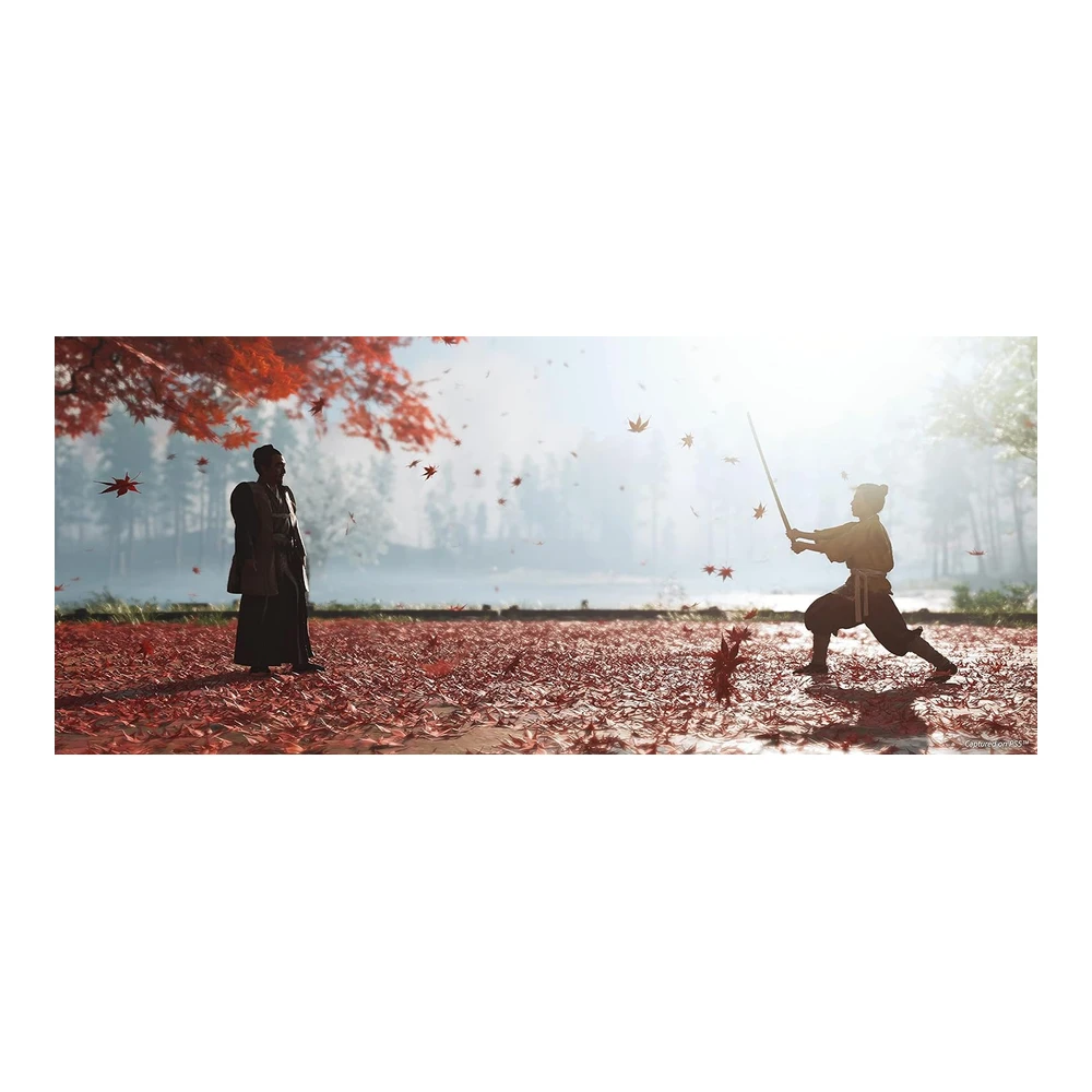 VIDEOJUEGO GHOST OF TSUSHIMA DIRECTOR'S CUT | PLAYSTATION 5