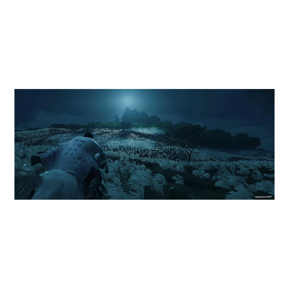 VIDEOJUEGO GHOST OF TSUSHIMA DIRECTOR'S CUT | PLAYSTATION 5