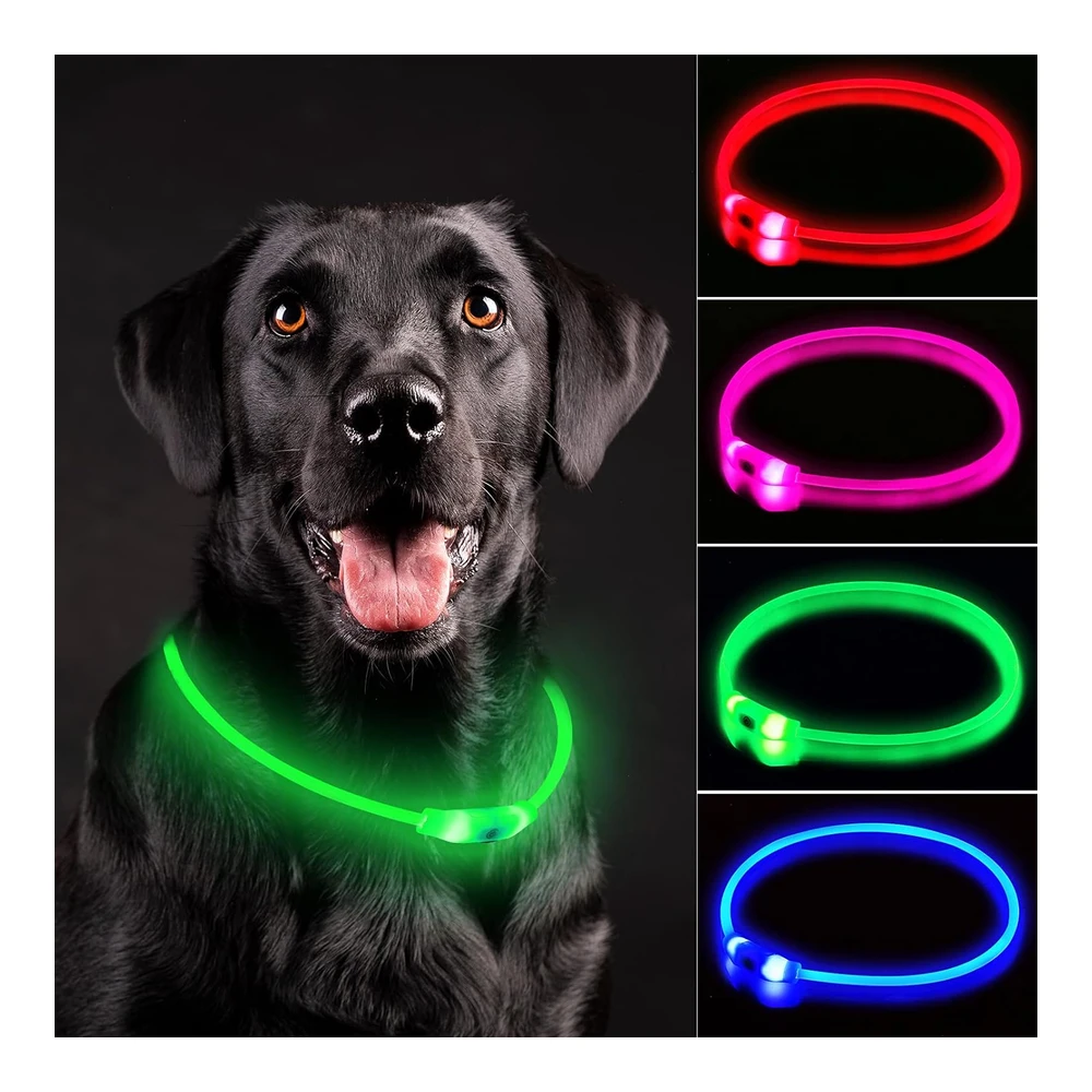 Novkin Collar de Perro con Luz Led - Collar de Perro con Luz Recargable - Luces Impermeables Ip67 para Caminar Por La Noche - Collar de Seguridad Ajustable y Reutilizable para Perros Pequeños - Medianos y Grandes (Verde)